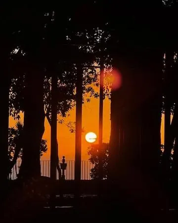 Luisetta Gæstehus *