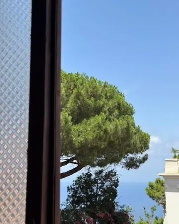 Luisetta Palmi