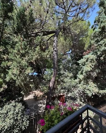 Penzion Luisetta Palmi