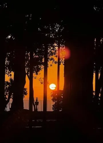 Luisetta Affittacamere *