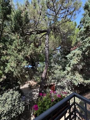 Affittacamere Luisetta Palmi